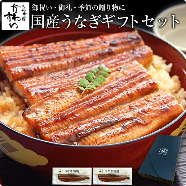 ＼19日09:59まで！ポイント15倍／ギフト セット うなぎ 蒲焼き特大国産うなぎ蒲焼き 170g×2本セット誕生日 お祝い お礼 内祝い 退職祝い 贈答 ギフト プレゼント 高級 グルメ 食品 食べ物 国産 うなぎ ウナギ 鰻 親戚 取引先 送料無料 2尾 父の日 セール 早割