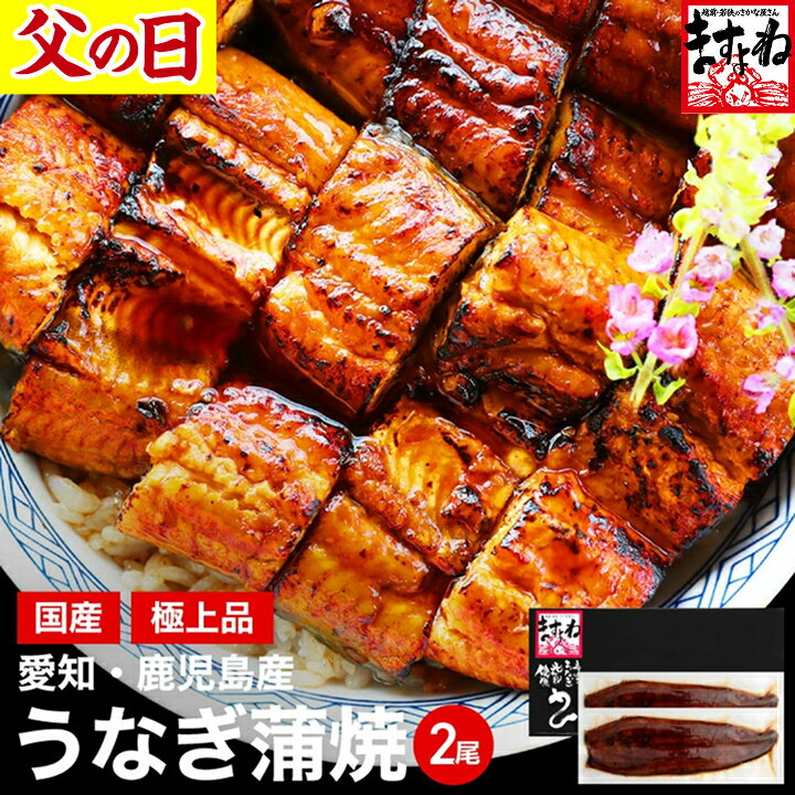 先着クーポン終了前＆値上げ前に！父の日 うなぎ ギフト プレゼント 国産特大うなぎ蒲焼き2尾セット 送料無料！国産うなぎ165g前後×2尾 [2-4人前 タレ・山椒付 ]ウナギ 鰻 うなぎ 国産 土用の丑の日 食品 父の日ギフト 食べ物 プレゼント 人気商品 2025年6月15日(日)必着可
