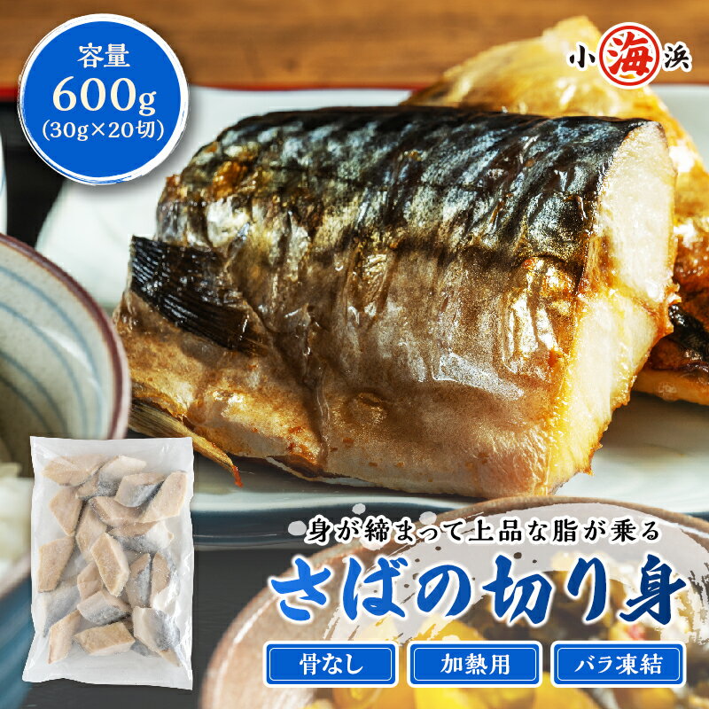 さば切り身 600g （30g×20切） 骨なし 切り身 おかず 弁当 鯖 サバ お手軽 バラ凍結 ごはん まとめ買い 誕生日 贈り物 グルメ プレゼント 誕生日プレゼント 食べ物 海鮮 ギフト 小浜海産物