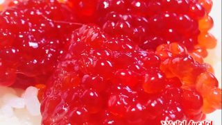 Thumbnail of post image 047