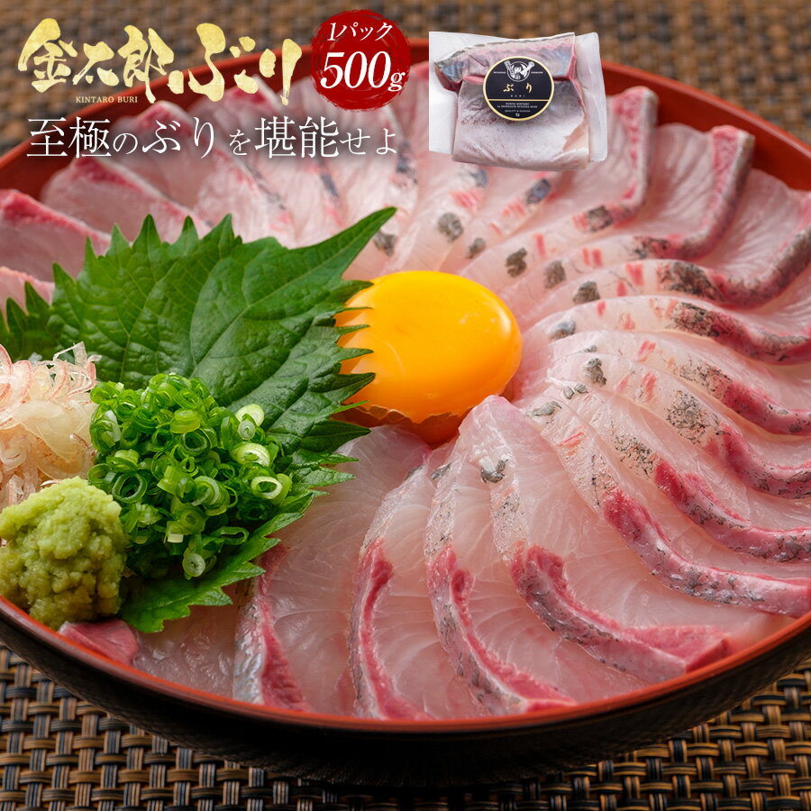 【スーパーSALE期間50%OFF】【冷凍専用】＼通販の虎出演！虎絶賛！／金太郎ぶり 500g 極上 2025 母の日 ブリ 鰤 刺身 お刺身 刺し身 さしみ 切り身 1 匹 冷凍 解凍 お取り寄せ ギフト プレゼント 送料無料 お返し 贈答品 産地直送 宮崎 海鮮 真空パック 酒のつまみ 父の日