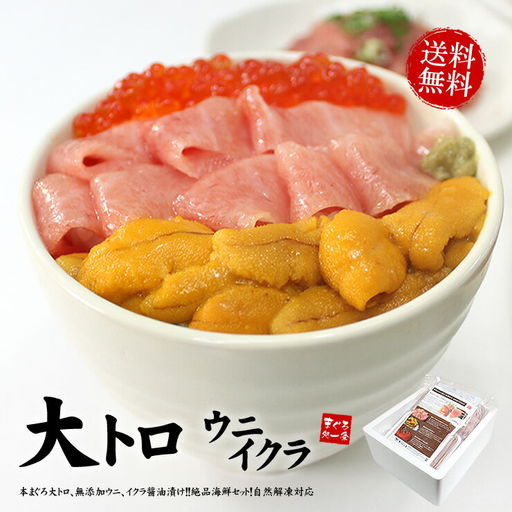 父の日まだ間に合う！楽天グルメ大賞2023 本マグロ大トロ、ウニ、イクラ 送料無料 (ギフト プレゼント お中元 食べ物 刺身 海鮮丼 手巻き寿司 おつまみ 海鮮福袋 食品 高級 詰め合わせ)《not-ks1》om22〈ks1〉[[大トロ海鮮セット]