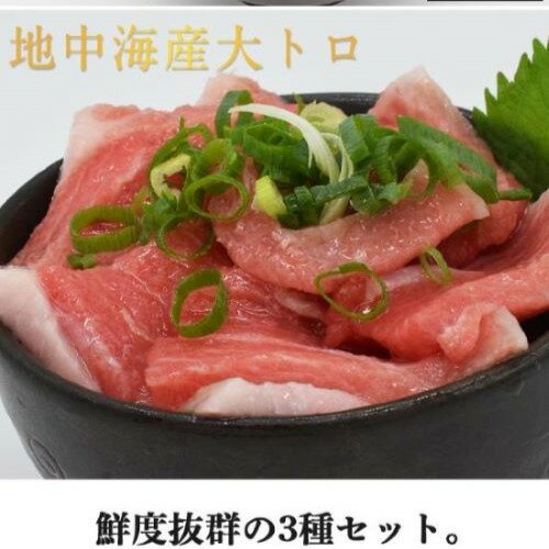 本マグロ 本まぐろ 大トロ 柵 3柵入り 500g 鮮魚 詰合せ 鮮魚セット 冷凍まぐろ 冷凍マグロ マグロ まぐろ 鮪 直送 冷凍 まぐろ刺身 魚 切り身 骨抜き 骨なし 刺身 さしみ お刺身 海鮮 海鮮丼 海鮮丼の具 手巻き寿司 ネタ グルメ お取り寄せ お取り寄せグルメ 送料無料