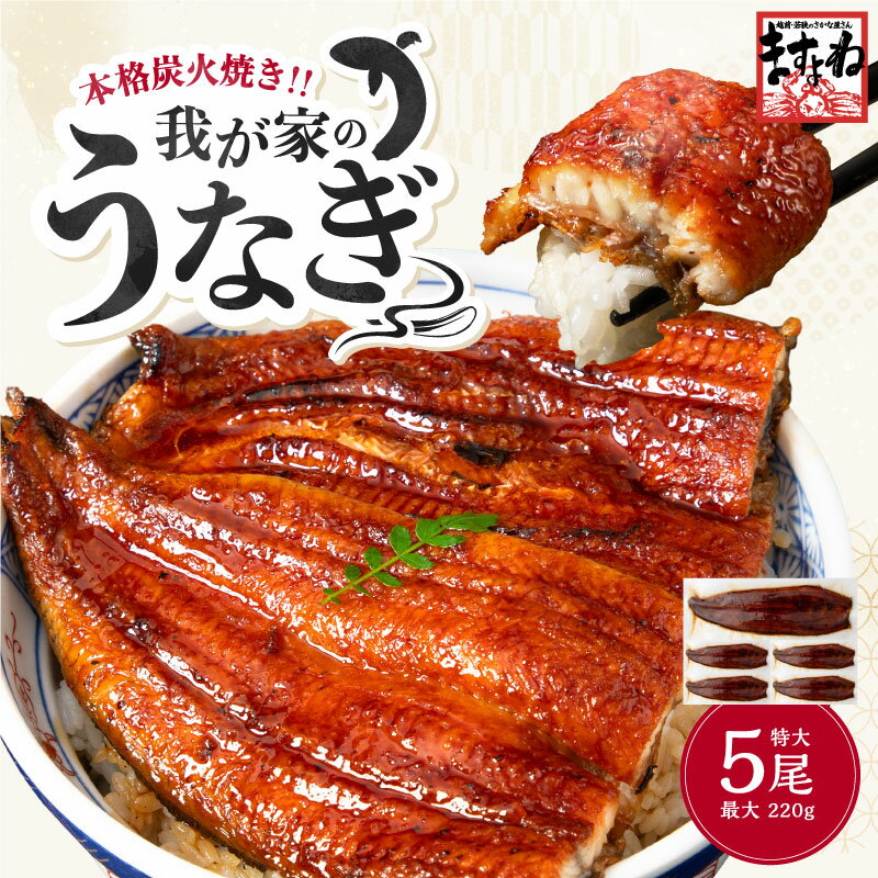 ＼丑の日セール★半額50％OFFクーポンで6980円／夏の土用の丑の日に！特大＆約10人前(1kg超)新子 肉厚ふっくら うなぎ蒲焼 本格炭焼 メガ盛 選べる2サイズ (200g×5尾 1kg /220g×5尾 1.1kg) 中国産 8段焼き仕上げ うなぎ ギフト プレゼント お中元 送料無料