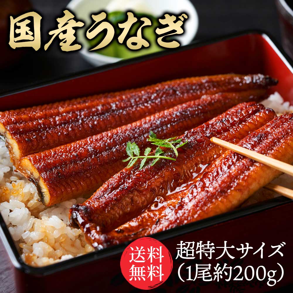 ＼3個購入で1尾無料プレゼント／特大国産うなぎ200g×1尾 市場直送 父の日 関西焼き 高評価 国産 特大 うなぎ蒲焼き 関西焼き うなぎ 特大サイズ 鰻 ウナギ 国産うなぎ 国産鰻 特大 蒲焼 うなぎ蒲焼 うなぎの蒲焼